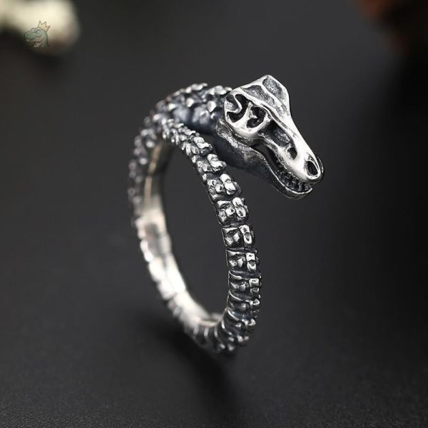 Accessoire dinosaure pour amoureux de la paléontologie