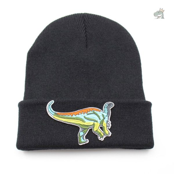 Bonnet hipster pour les passionnés de préhistoire