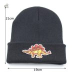 Design unique de bonnet pour les amoureux des dinosaures