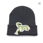 Bonnet à la mode avec design de dinosaure amusant