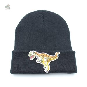 Bonnet original avec motifs de dinosaure colorés