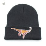 Bonnet amusant inspiré des dinosaures hipsters