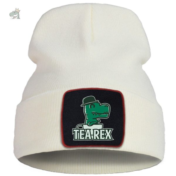 bonnet ado avec motif de dinosaure amusant