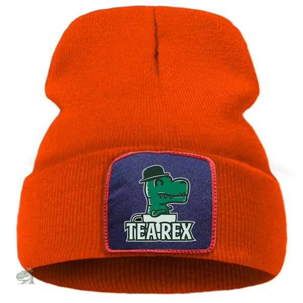 bonnet ado dinosaure à porter en hiver