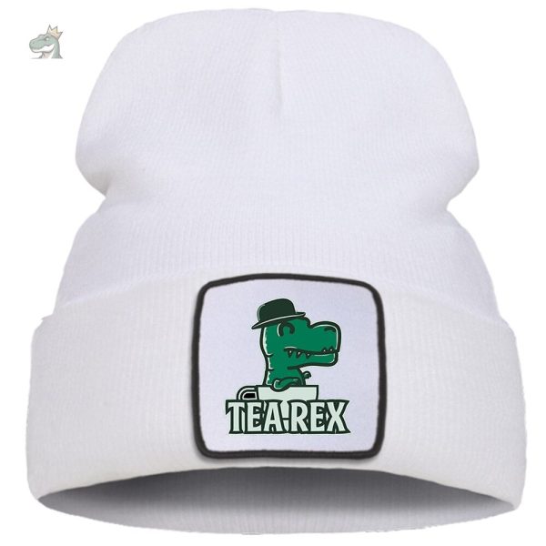 bonnet amusant dinosaure pour les jeunes