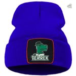 bonnet en forme de dinosaure pour jeunes