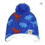 Chapeau dinosaure à pompon amusant