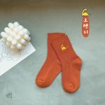 Chaussettes à motifs de dinosaures pour le quotidien