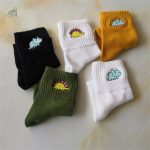 Chaussettes dinosaures pour adultes