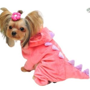 Costume dinosaure pour chien, amusant et original