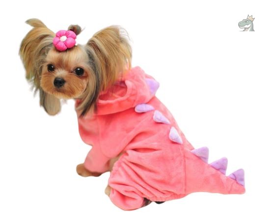 costume-dinosaure-chien-1 Costume dinosaure pour chien, amusant et original