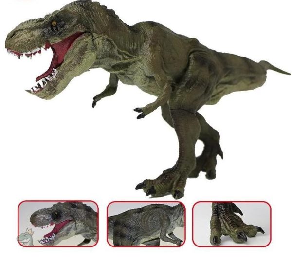 Modèle de dinosaure tyrannosaure, parfait pour les collectionneurs