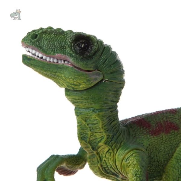 Modèle de dinosaure Raptor, idéal pour les passionnés