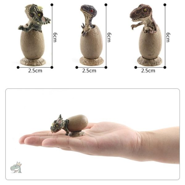 Oeuf de dinosaure raptor pour collectionneur
