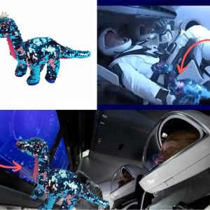 Doudou dinosaure de l'espace, parfait pour les petits explorateurs