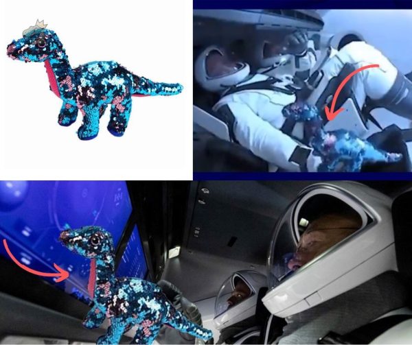 Doudou dinosaure de l'espace, parfait pour les petits explorateurs