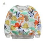 Sweat Dinosaure coloré pour enfants
