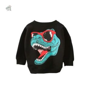 Sweat Dinosaure pour enfants, pull confortable et amusant