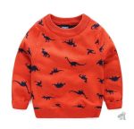 Pull Dinosaure pour enfants, un vêtement amusant et coloré