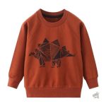 Pull enfant motif dinosaure pour 6-7 ans