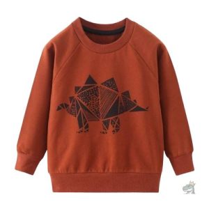 Pull enfant motif dinosaure pour 6-7 ans