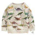 Sweat Dinosaure pour garçon de 5 ans, design coloré