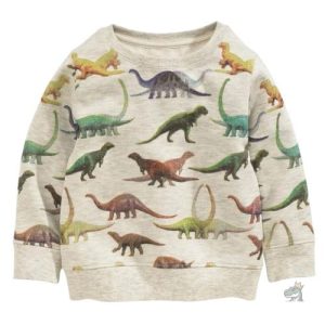 Sweat Dinosaure pour garçon de 5 ans, design coloré