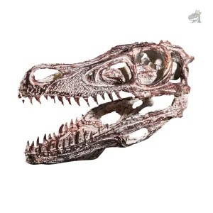Reproduction squelette dinosaure marin en plastique