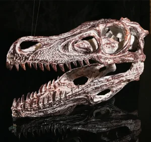Modèle réduit de dinosaure marin, squelette détaillé