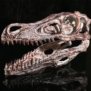 Modèle réduit de dinosaure marin, squelette détaillé