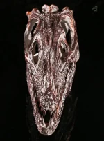 Reproduction réaliste d'un squelette de dinosaure