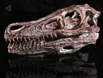 Squelette dinosaure marin pour collection ou exposition
