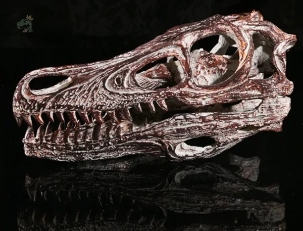 Squelette dinosaure marin pour collection ou exposition