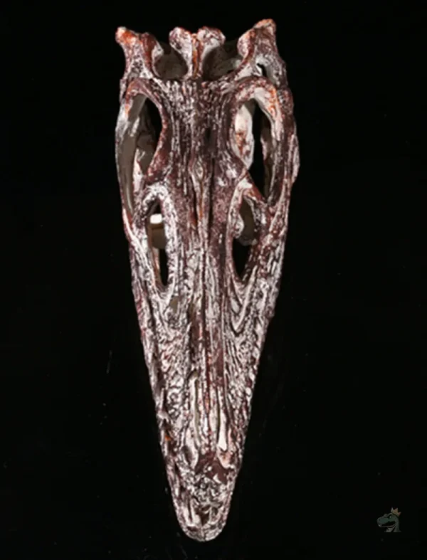 Élément décoratif dinosaure marin, squelette en trois dimensions