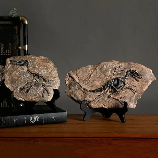 Fossile de vélociraptor pour collection de dinosaures