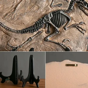 Reproduction de squelette de vélociraptor réaliste