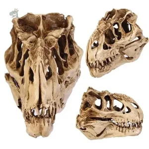 Squelette dinosaure T-Rex réaliste et détaillé