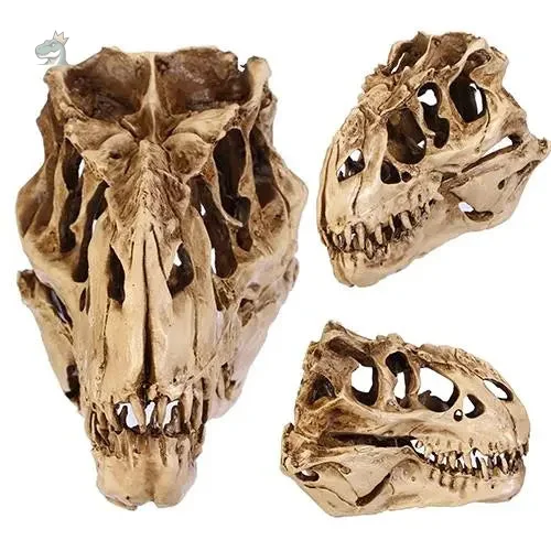 squelette-dinosaure-t-rex-1 Squelette dinosaure T-Rex réaliste et détaillé