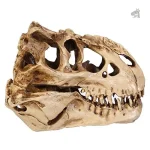 Modèle réduit de squelette de T-Rex pour décor