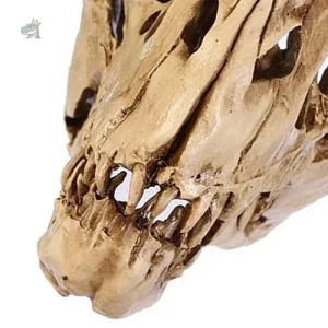 Détails du squelette dinosaure T-Rex en plastique