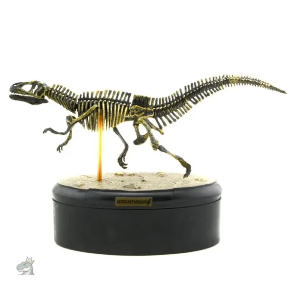 Squelette de dinosaure à exposer dans une collection