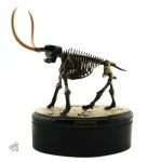 Figurine de squelette de dinosaure pour chambre d'enfant