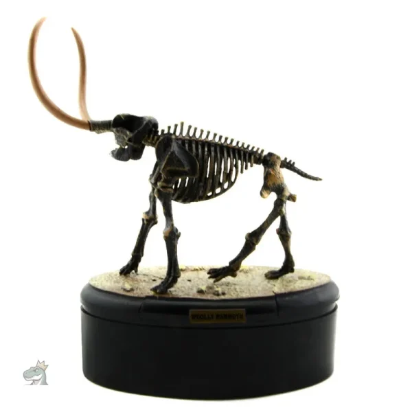 Figurine de squelette de dinosaure pour chambre d'enfant