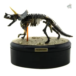 Squelette de T-Rex en plastique pour décoration