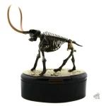 Reproduction de squelette de dinosaure réaliste