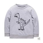 Sweat dinosaure pour enfants de 2 à 7 ans