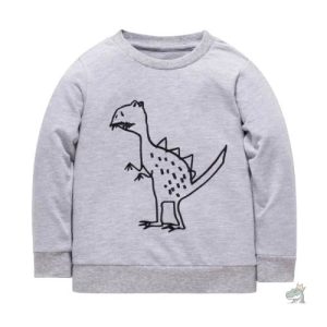 Sweat dinosaure pour enfants de 2 à 7 ans