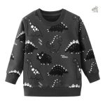 Sweat Dinosaure pour enfants, confortable et ludique