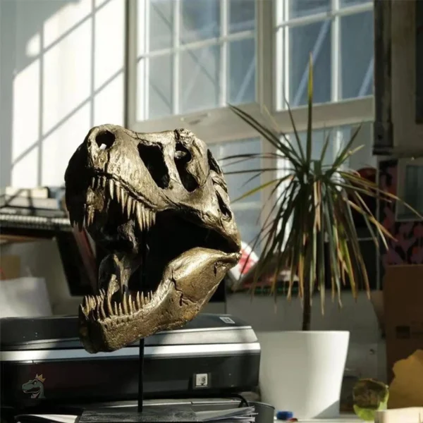 tete-squelette-dinosaure-1 Tête de T-Rex squelette décorative
