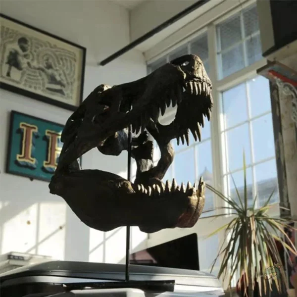 Squelette de dinosaure T-Rex pour collection